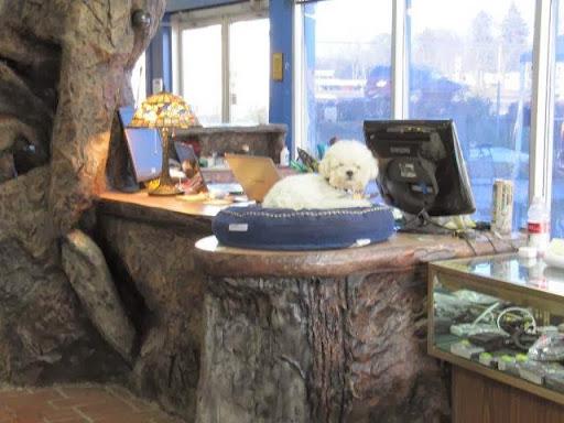 Pawn Shop «Mr Pawn», reviews and photos, 1910 Lake St S, Forest Lake, MN 55025, USA