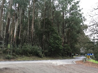 Photos of Dom Dom Saddle Picnic Area