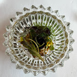 Photo n°11 de l'avis de Alessandro.a fait le 04/02/2023 à 18:06 sur le  La Bandiera B&B à Civitella Casanova