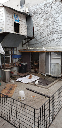 Auto Repair Shop «Galexy Auto Repair Inc», reviews and photos, 13113 Hillside Avenue, Jamaica, NY 11418, USA