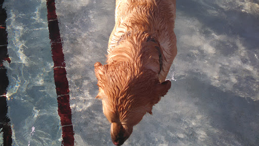 Water Park «Vista Water Park (YMCA)», reviews and photos, 6885 Vista Del Pico Blvd, Colorado Springs, CO 80927, USA