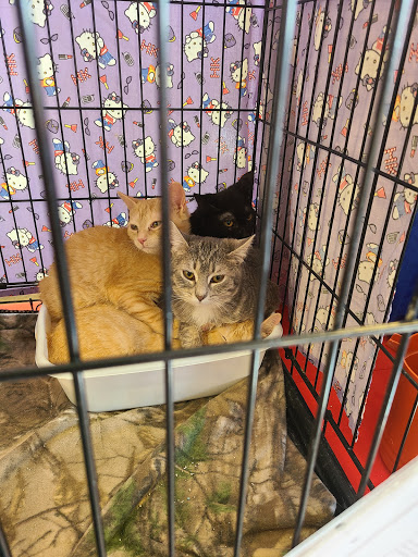 Pet Supply Store «Petco Animal Supplies», reviews and photos, 1231 Crossing Meadows Dr, Onalaska, WI 54650, USA