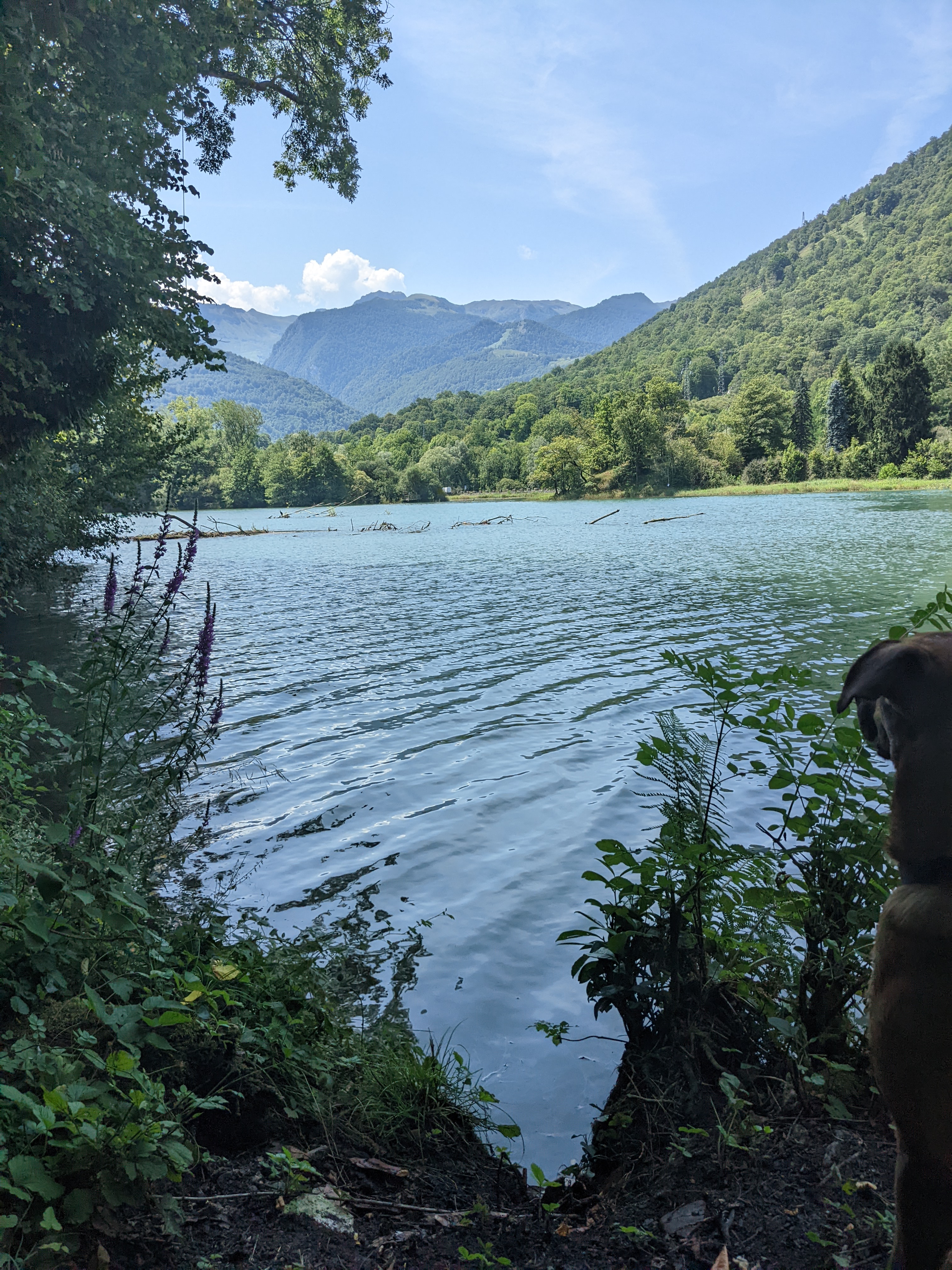 Photo n° 4 de l'avis de Stéphane.e fait le 12/08/2022 à 12:39