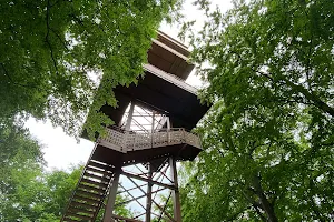 Kaszubska Wieża Widokowa image