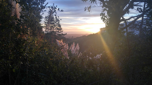 Shopping Mall «Laurelwood Shopping Center», reviews and photos, 1206 W Hillsdale Blvd, San Mateo, CA 94403, USA