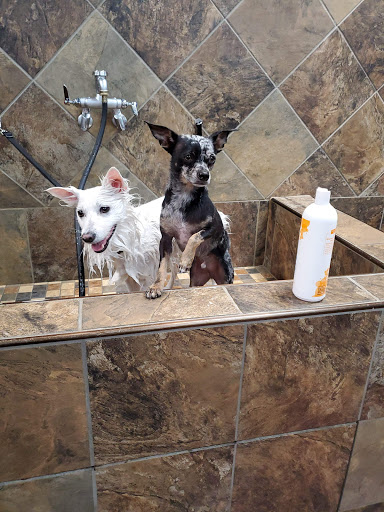 Pet Supply Store «Pet Valu», reviews and photos, 150 Main St, Lodi, NJ 07644, USA