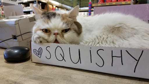 Pet Store «Next to Nature», reviews and photos, 4543 California Ave SW, Seattle, WA 98116, USA