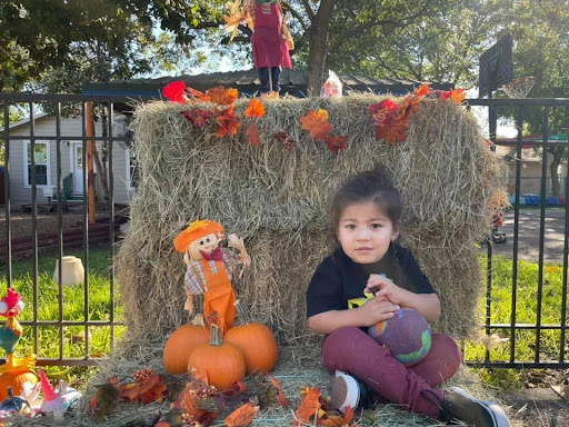 Day Care Center «Little Wonderland Child Care», reviews and photos, 531 W Malone Ave, San Antonio, TX 78214, USA