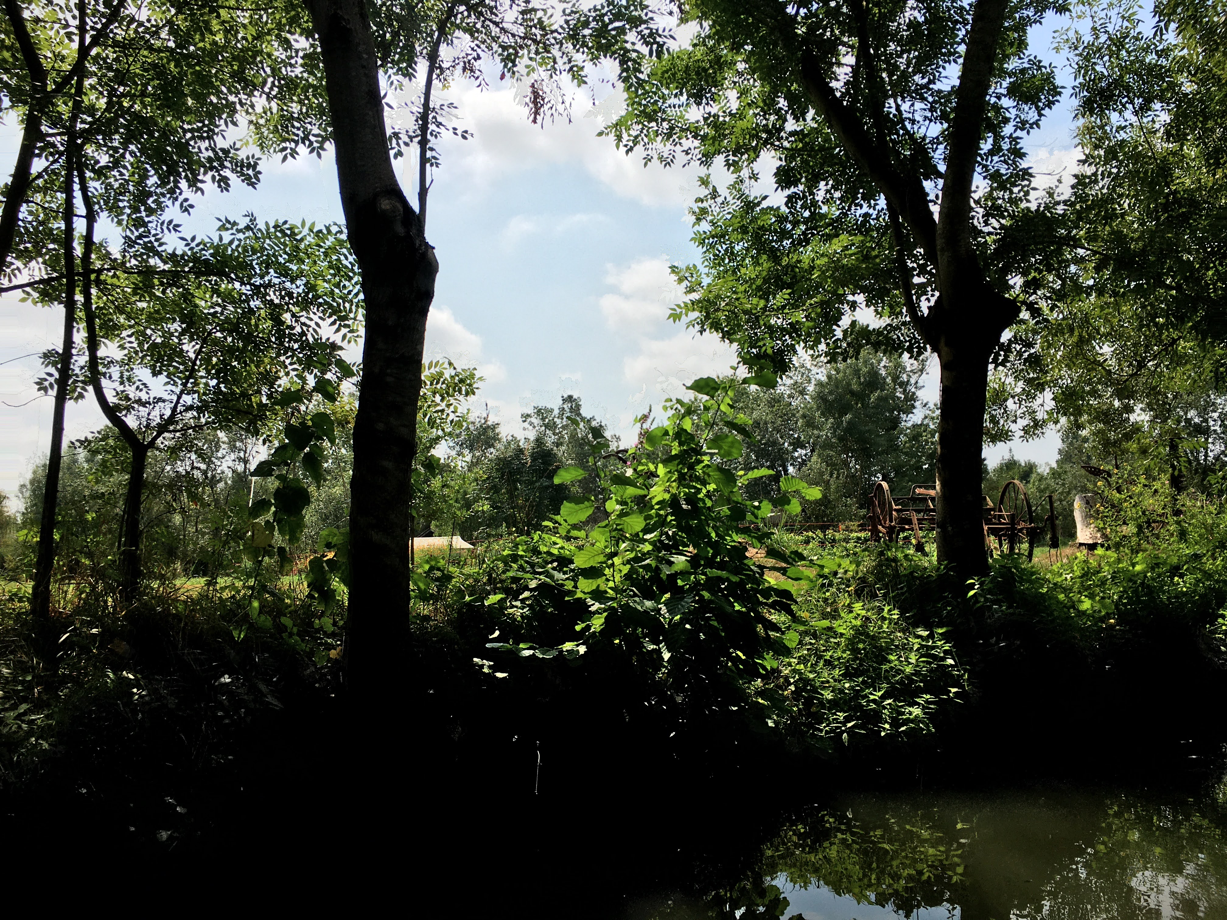 Photo n° 2 de l'avis de Nicolas.o fait le 17/08/2020 à 12:54