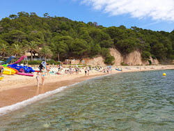 Photo de Plage de Cala Giverola zone des équipements