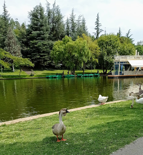 Езерото в парк "Свети Врач" - Сандански