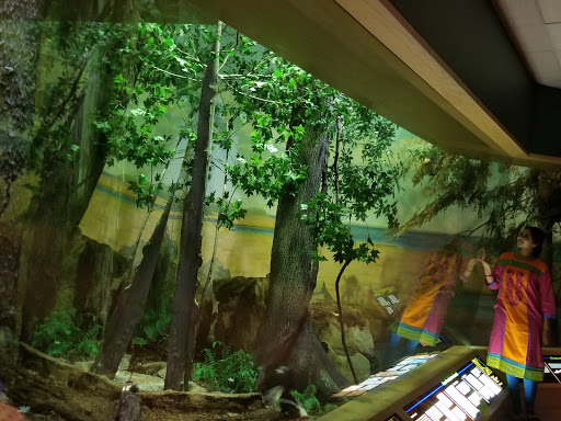 Art Museum «Bruce Museum», reviews and photos, 1 Museum Dr, Greenwich, CT 06830, USA