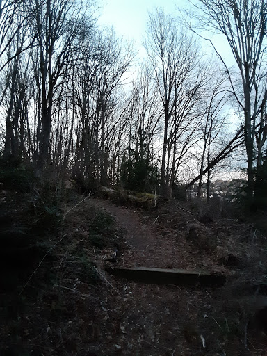 Park «Lewis Park», reviews and photos, 1120 15th Ave S, Seattle, WA 98144, USA