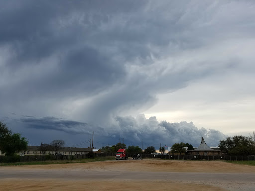 Grocery Store «H-E-B Grocery», reviews and photos, 215 River Ranch Rd, Kingsland, TX 78639, USA