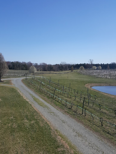 Winery «Weston Farm Vineyard & Winery», reviews and photos, 206 Harris Creek Rd, Louisa, VA 23093, USA