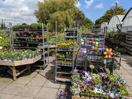 Baldonnel Cross Garden Centre