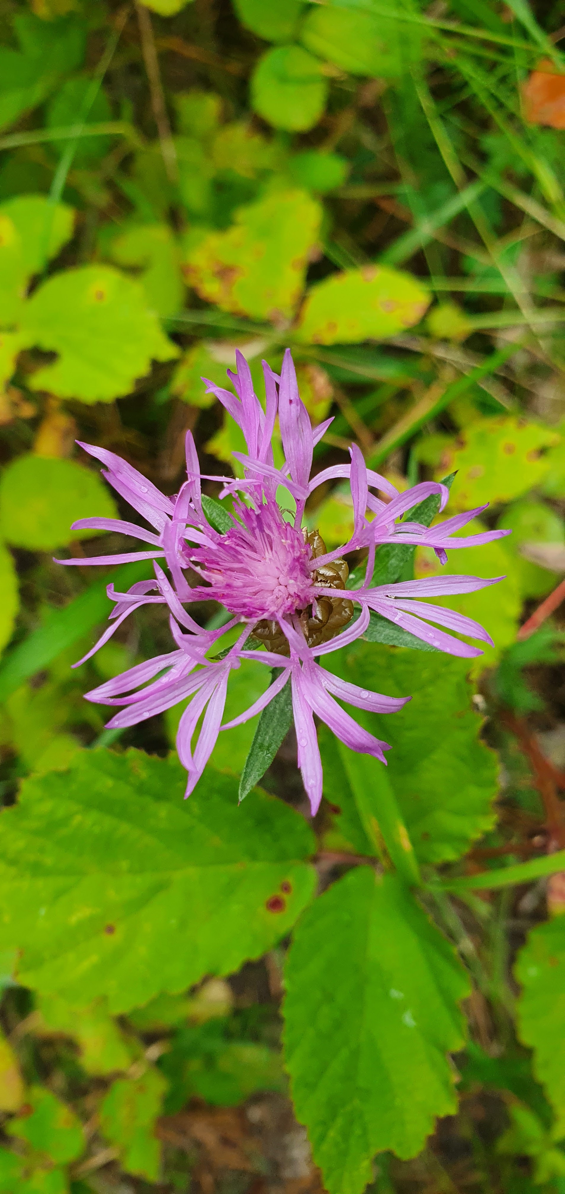Photo n° 2 de l'avis de Nlw.r fait le 14/08/2020 à 23:10
