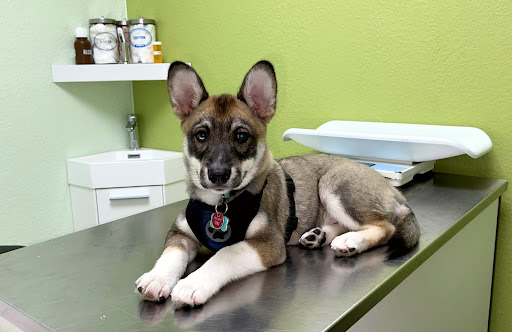 2485 W Flagler St # 3, Miami, FL 33135, USA