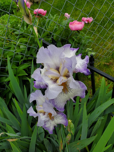 National Park «Atalaya», reviews and photos, Atalaya Rd, Murrells Inlet, SC 29576, USA