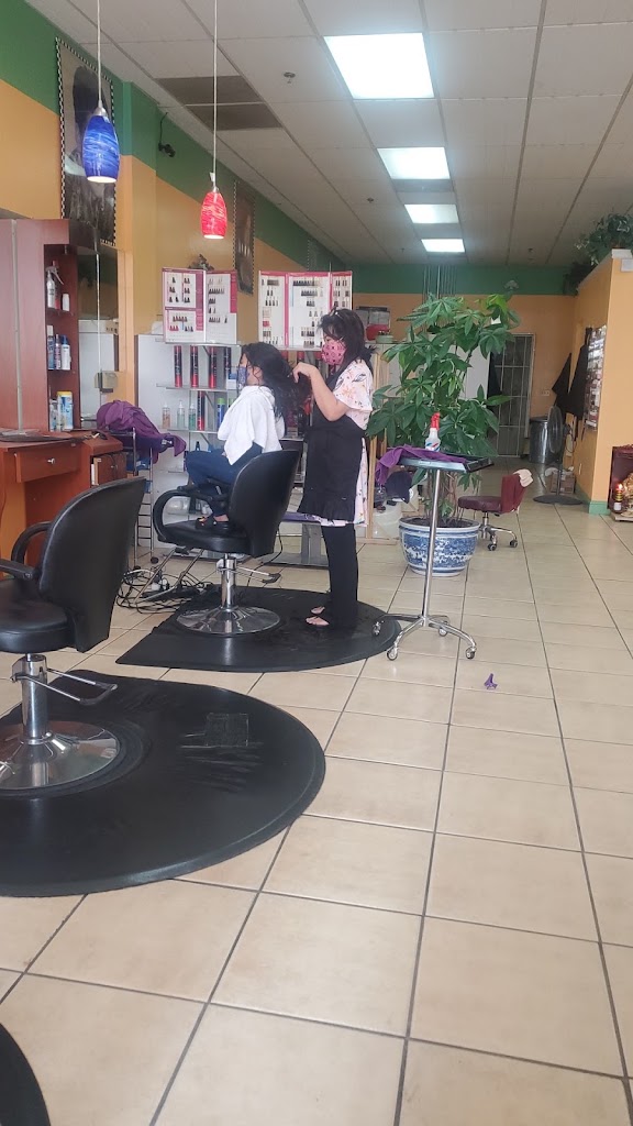 Perfect Hair & Nails 94544