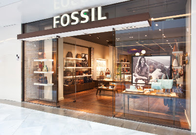 Fossil à Dijon