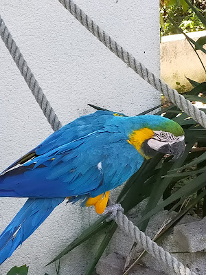 Zoodéfis à Spay