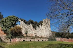 Wallingford Castle image