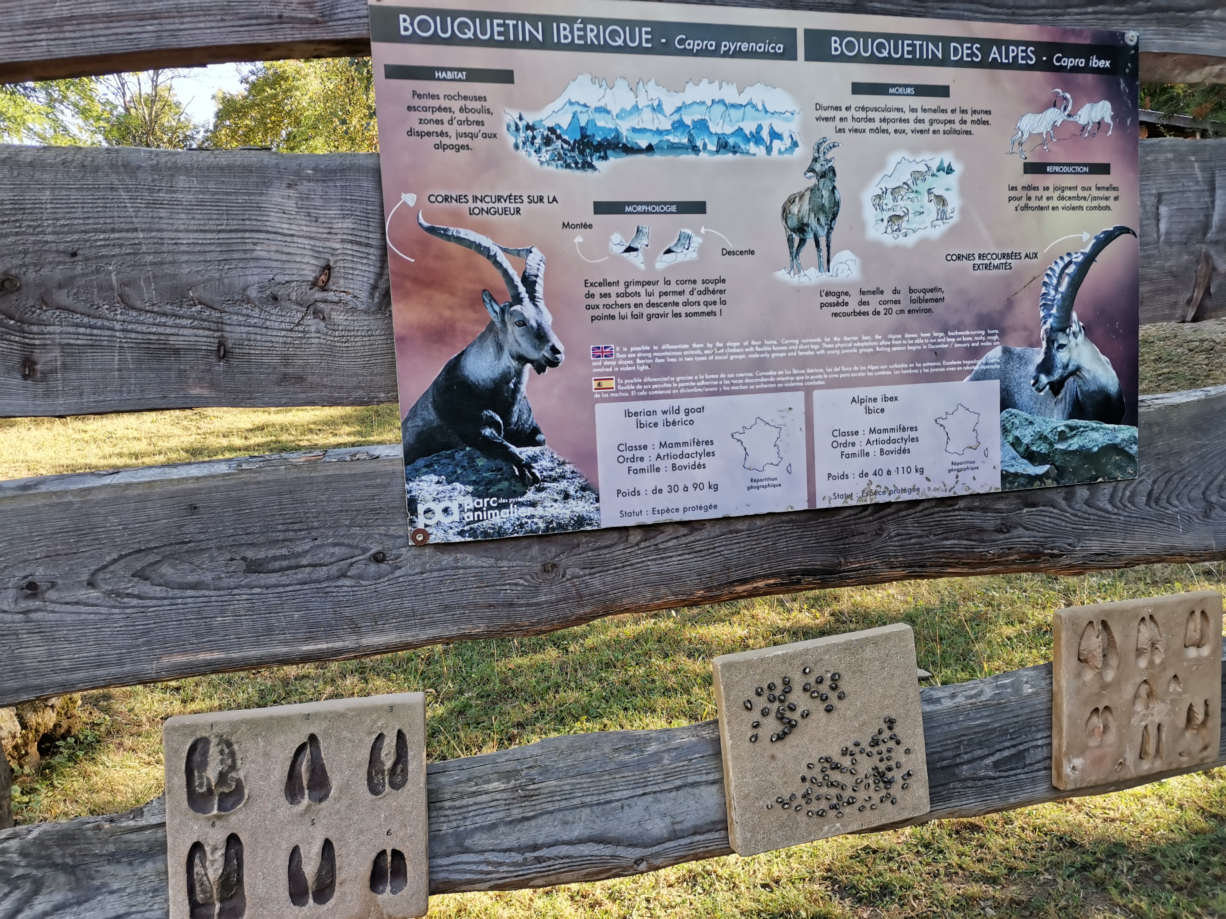 Photo n° 6 de l'avis de L. fait le 26/08/2022 à 17:05