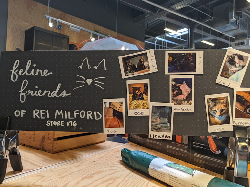 Camping Store «REI», reviews and photos, 1587 Boston Post Rd, Milford, CT 06460, USA