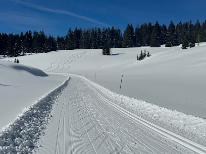 Grand Mesa, Uncompahgre And Gunnison National Forests