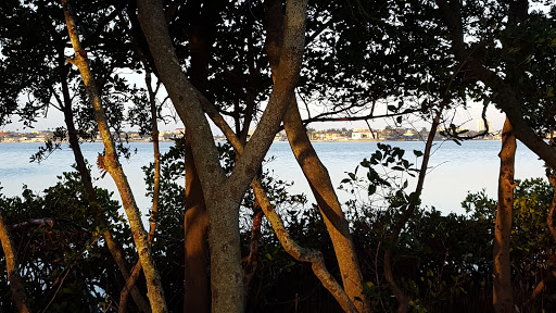 Golf Course «The Tides Golf Club», reviews and photos, 11832 66th Ave N, Seminole, FL 33772, USA