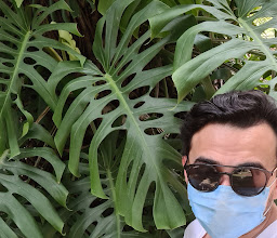 Jardín JURÁSICO Américas ???????? photo