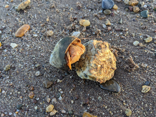 Monument «Fountain of the Dolphins», reviews and photos, 378 Sand Ln, Staten Island, NY 10305, USA