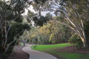 River Torrens Linear Reserve image