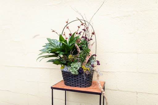 Florist «Flowers By Lou Ann», reviews and photos, 632 S Beckham Ave, Tyler, TX 75701, USA