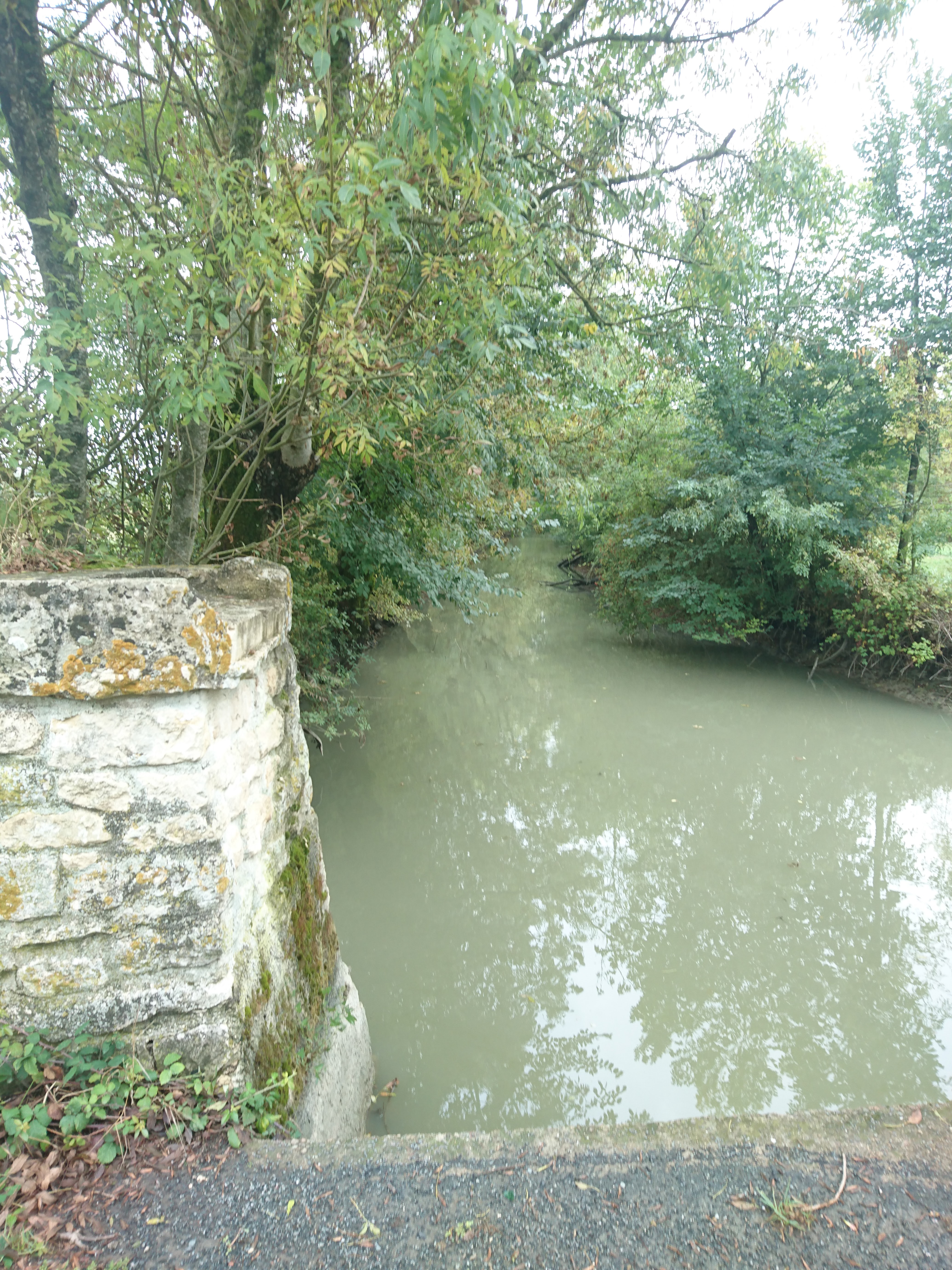 Photo n° 4 de l'avis de Saint.o fait le 26/09/2019 à 10:57