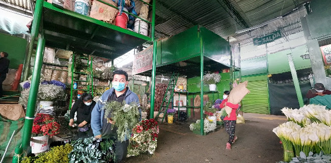 Mercado Mayorista De Flores Piedra Liza