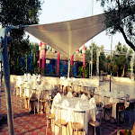 Photo n°2 de l'avis de Luigi.a fait le 25/01/2018 à 19:54 sur le  Il Giardino di Melody à Binetto