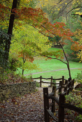 Botanical Garden «Botanical Gardens At Asheville», reviews and photos, 151 W .T. Weaver Blvd, Asheville, NC 28804, USA