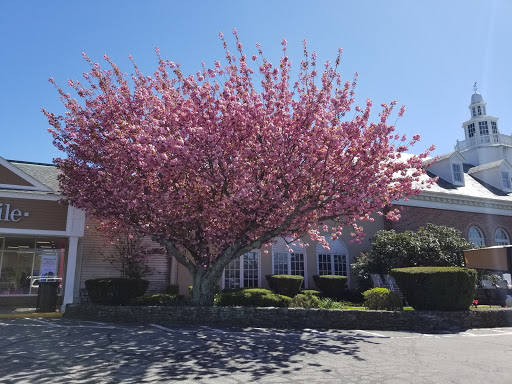 Shopping Mall «Aquidneck Shopping Centre», reviews and photos, 77 E Main Rd, Middletown, RI 02842, USA