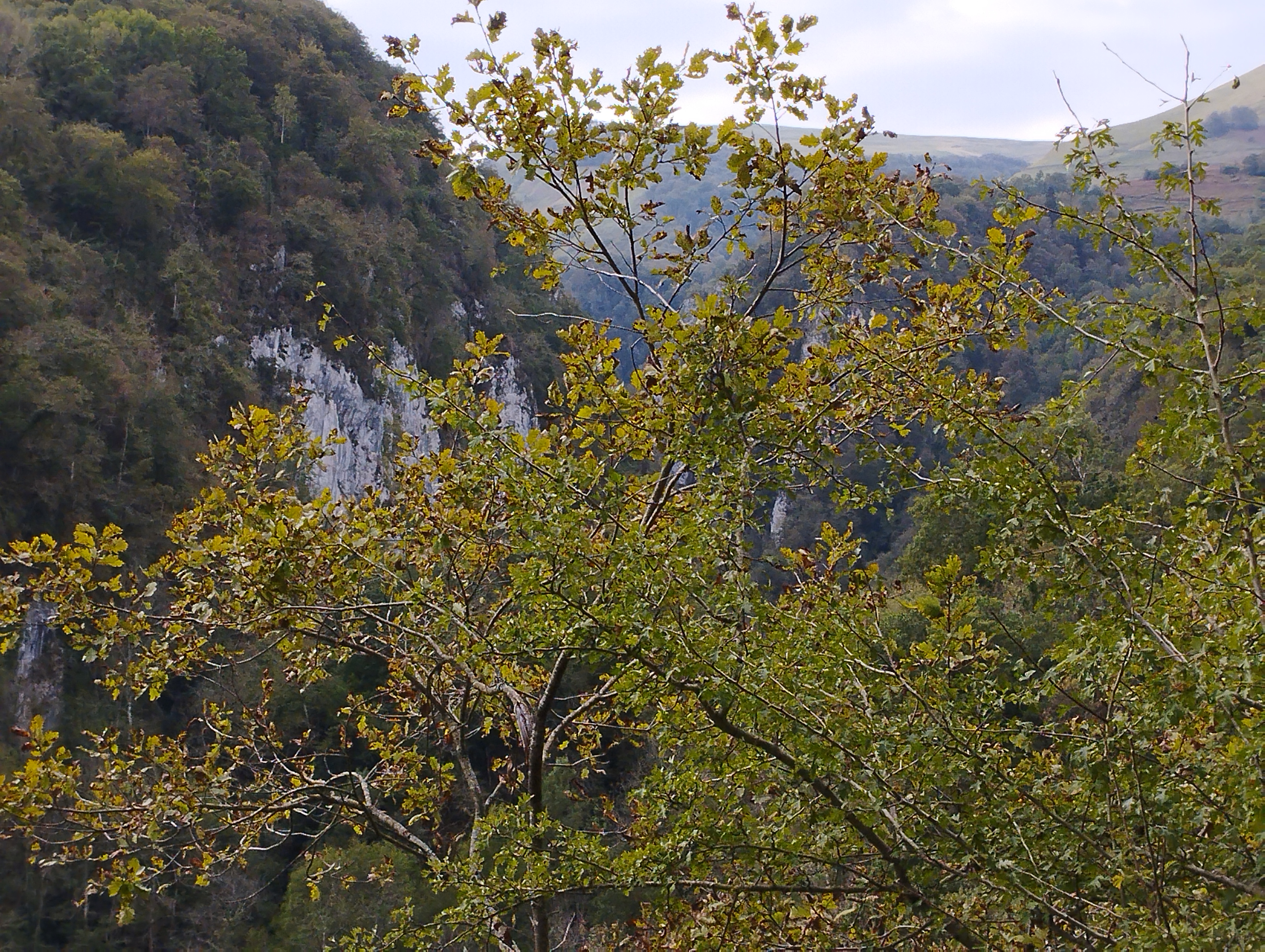 Photo n° 2 de l'avis de Djey.j fait le 16/10/2023 à 20:04