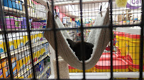 Pet Supermarket - Photo 7 - Car repair in Ocala, FL, Ocala