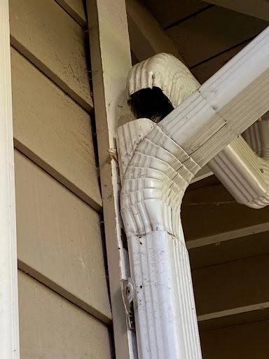 Plumber «Action Jackson Drain Cleaning», reviews and photos, 23601 WA-99, Edmonds, WA 98020, USA