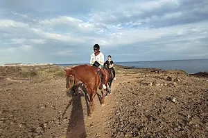 Horse Riding Finca La Bonita rescuehorses image