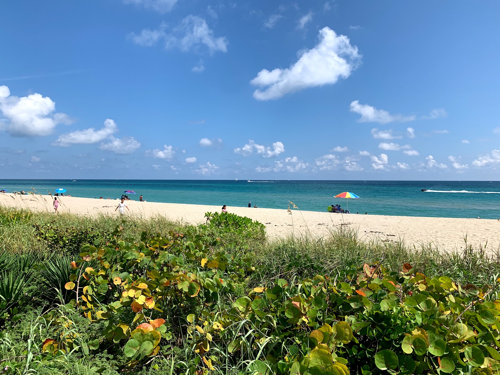 Φωτογραφία του Palm Island beach II με φωτεινή άμμος επιφάνεια