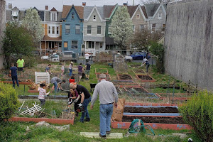 West Reading Community Garden