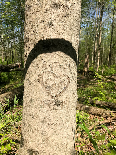 Park «Sodalis Nature Park», reviews and photos, 7700 S County Rd 975 E, Plainfield, IN 46168, USA