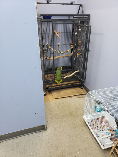 Bird Shop «Paterson Bird Store», reviews and photos, 13 Furler St # 1, Totowa, NJ 07512, USA