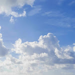 Photo n°3 de l'avis de Alo.i fait le 01/11/2023 à 06:21 sur le  La Conchiglia 1 Sas Di Battistini Gianfranco à Anzio