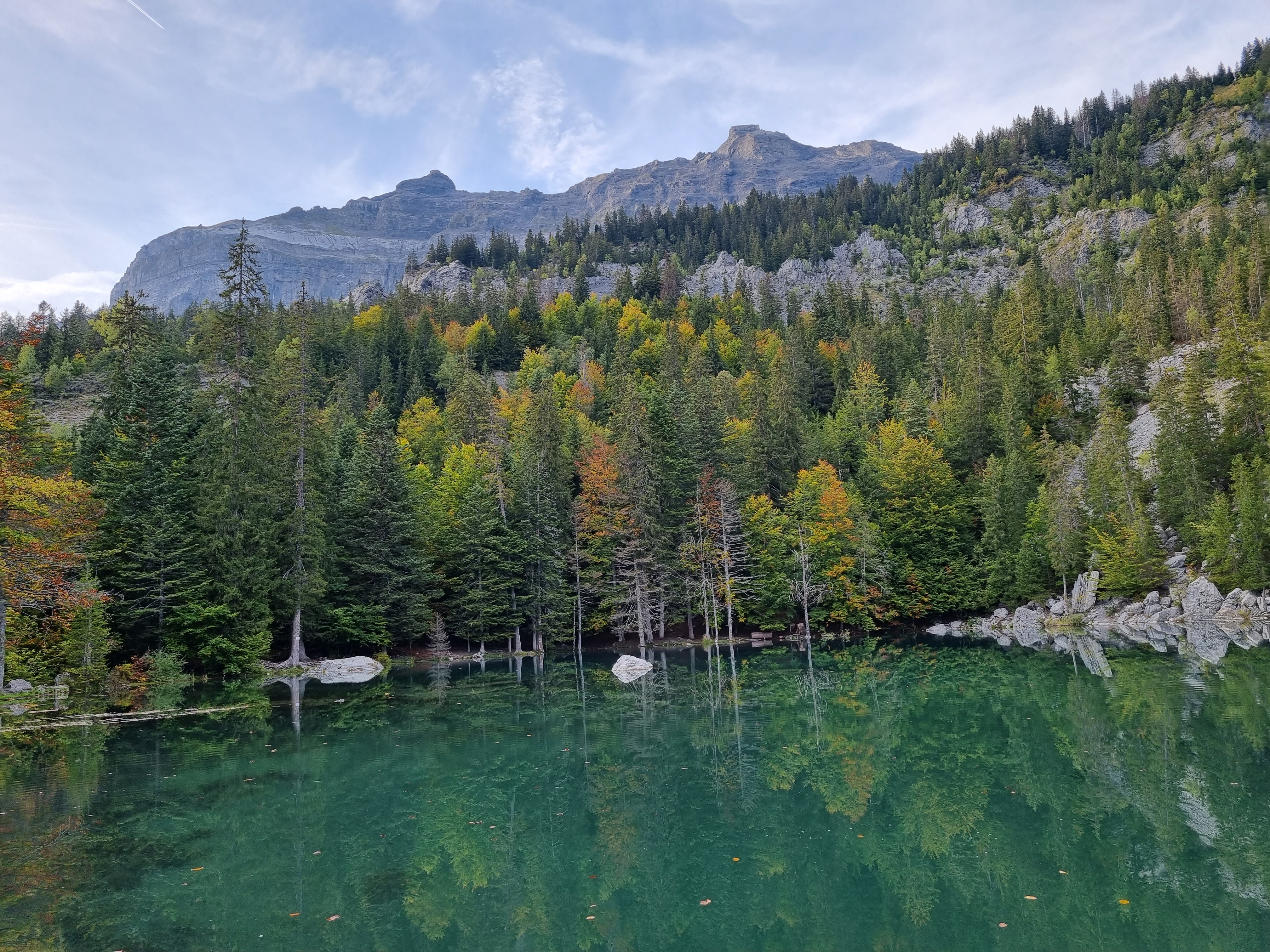 Photo n° 4 de l'avis de alexandre.u fait le 12/10/2021 à 14:22
